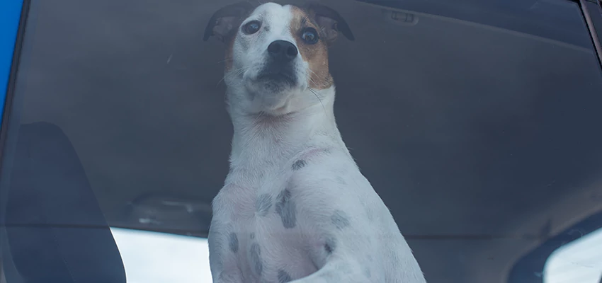 Car Lockout Solutions in Lincoln, California